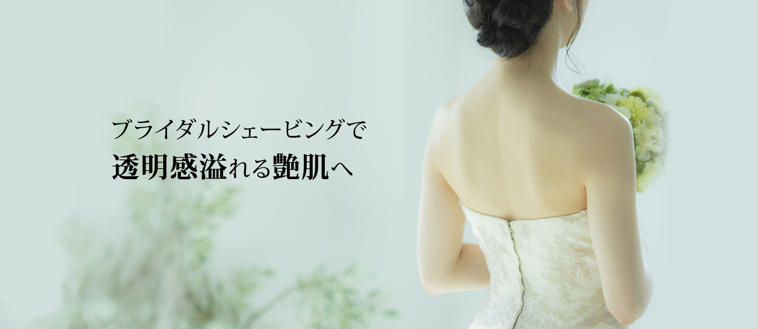 トップイメージ